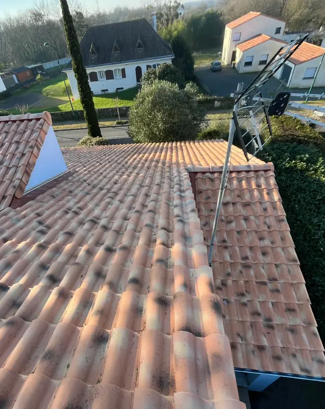 expert couvreur à Geneston (44) et Vignoble Nantais. Dépannage toiture urgence, démoussage, entretien, zinguerie, Velux. Devis rapide.